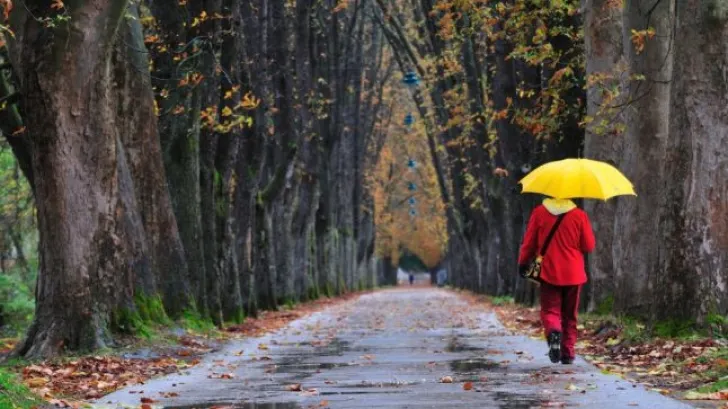 Vremea a luat-o razna! Prognoza meteo pentru toată țara