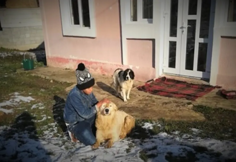 Câine salvat de pompieri dintr-o fântână adâncă de șapte metri 