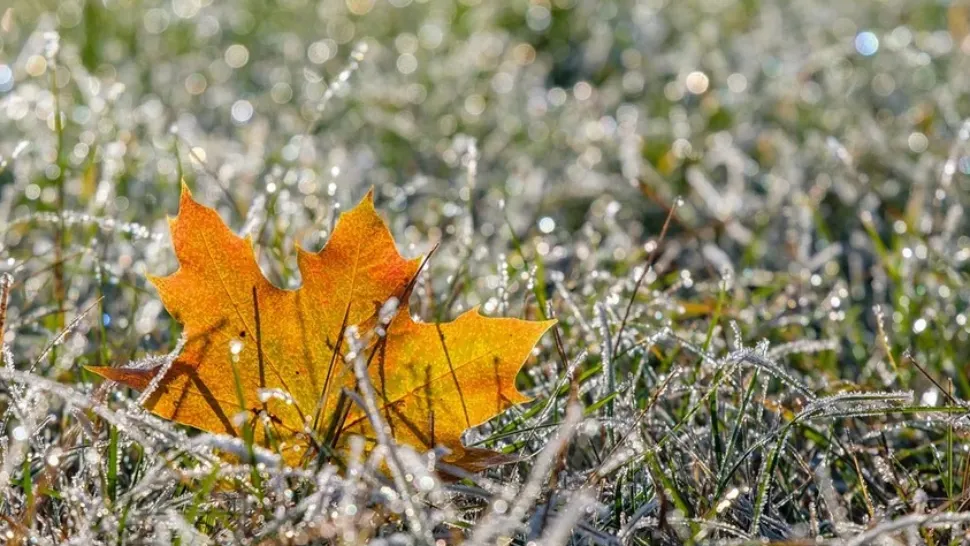 Prognoza meteo pe o lună, revizuită. Schimbări spectaculoase: cum va fi vremea până pe 13 IANUARIE