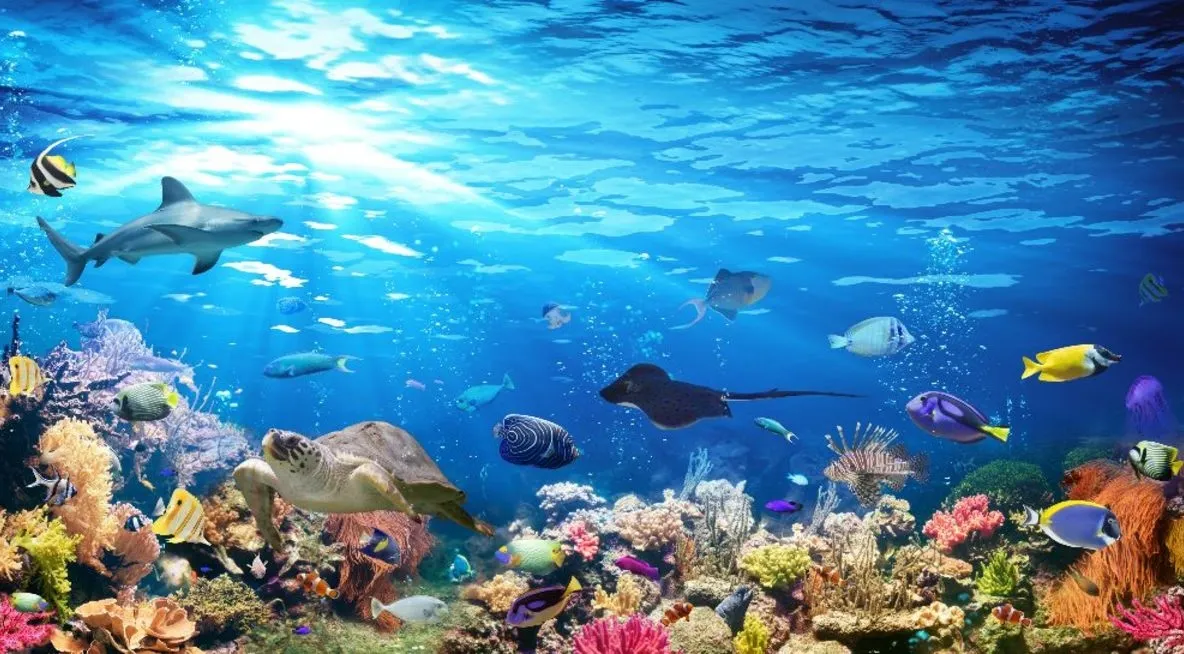 Încălzirea globală lasă oceanele fără oxigen