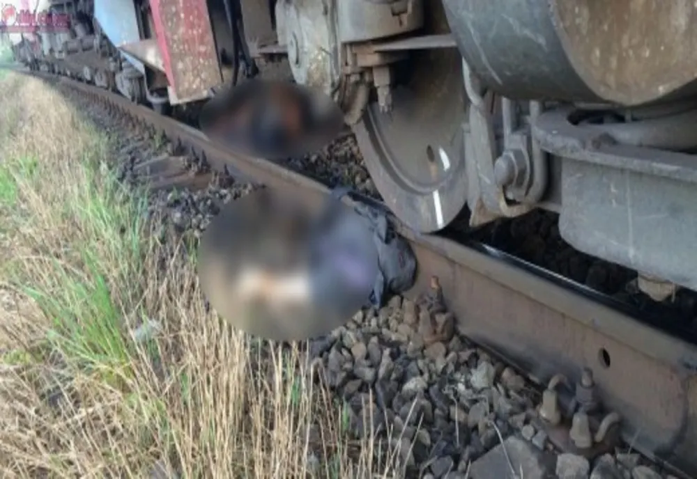 Mașină lovită de un tren în Dolj