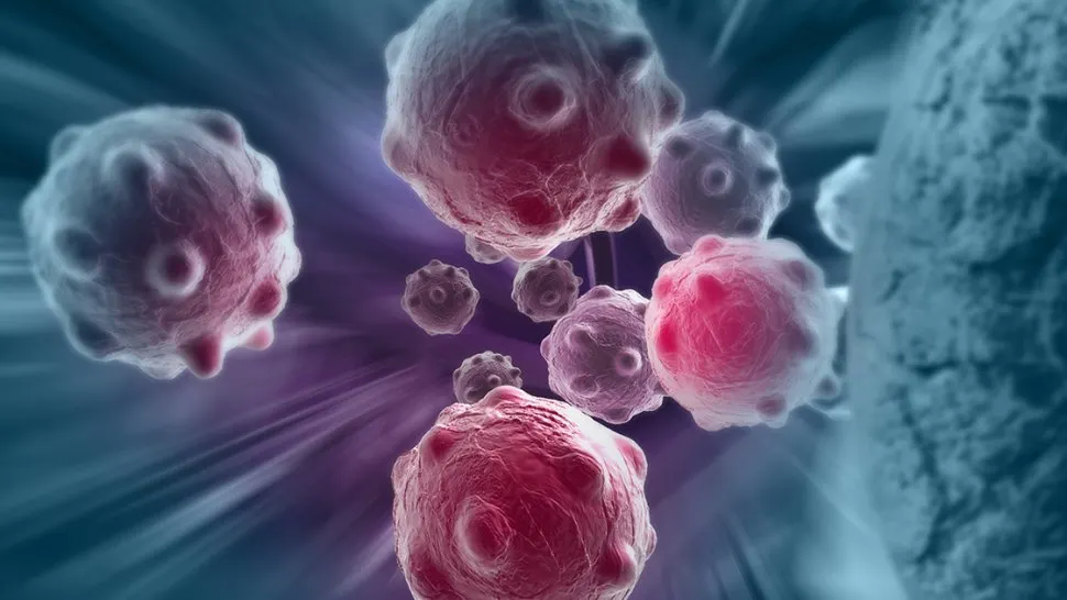 Descoperire revoluționară. O celulă din sânge ar putea trata toate tipurile de cancer