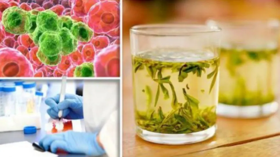 Singurul ceai care distruge celulele canceroase în 48 de ore. Cum se prepară