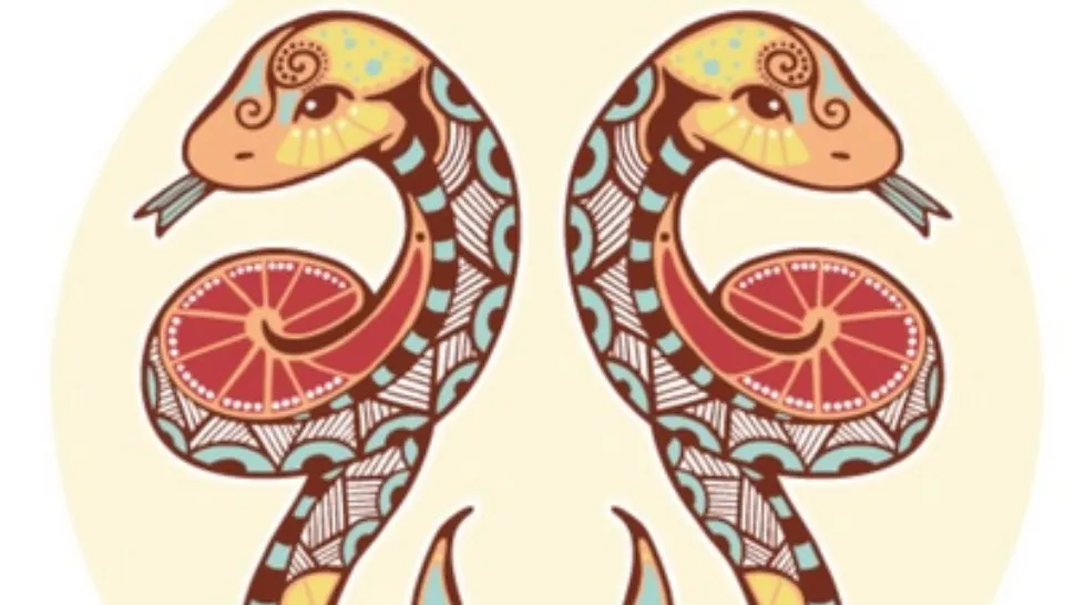3 zodii care trebuie să urmeze calea şarpelui. Horoscopul vicleniei