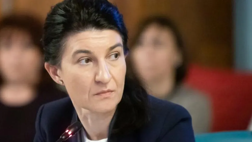 Violeta Alexandru, la audierile din Parlament: Situația muncitorilor români din Germania, în curs de verificare