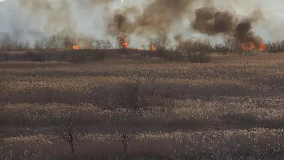 Un alt incendiu a izbucnit în DELTA VĂCĂREȘTI! Se solicită sprijinul Poliţiei Capitalei