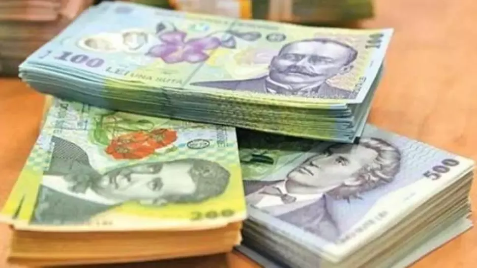 Au înscenat furtul unei genți cu peste 100.000 de lei. Reacția poliției 
