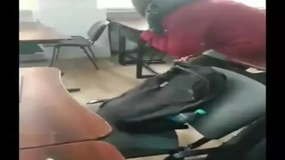 Şobolan filmat într-un liceu de elită din Galaţi. Imagini incredibile