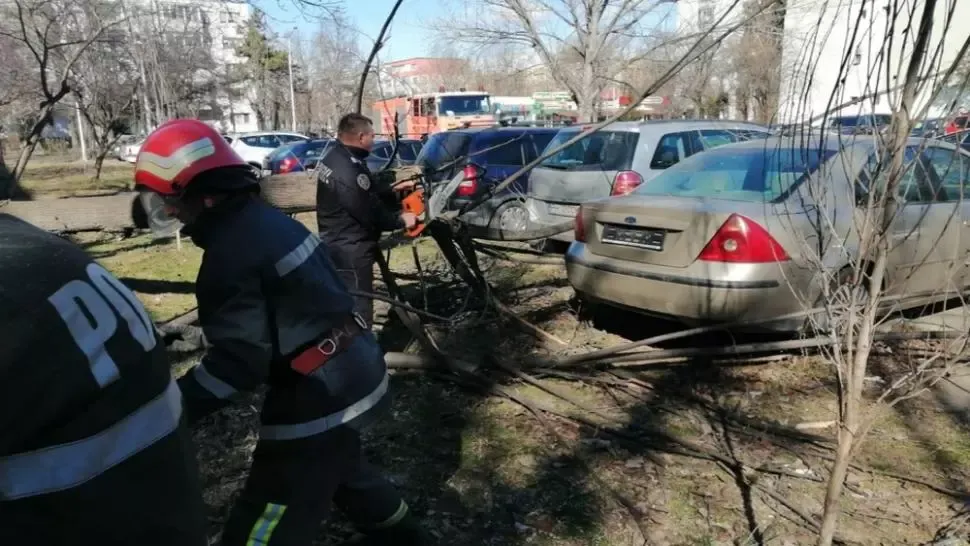 Vânt puternic în Prahova: Copaci și stâlpi doborâți