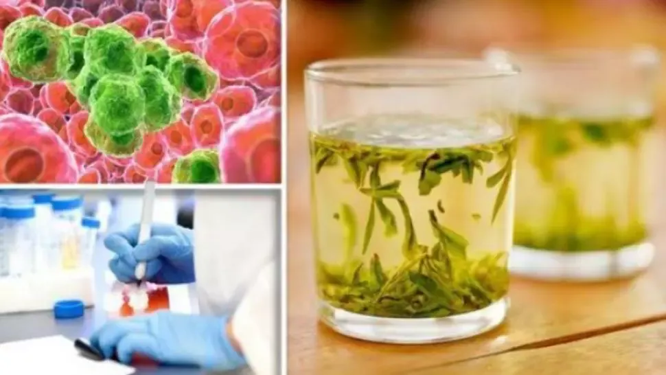 Singurul ceai care distruge celulele canceroase în 48 de ore. Uite cum se prepară