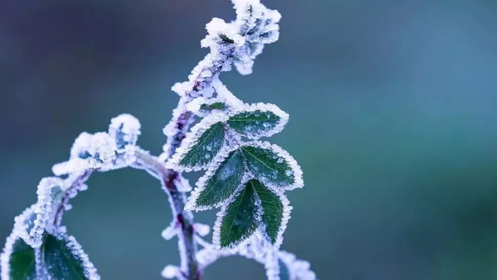 Prognoza meteo pe o lună. Schimbări radicale: cum va fi vremea până pe 9 martie
