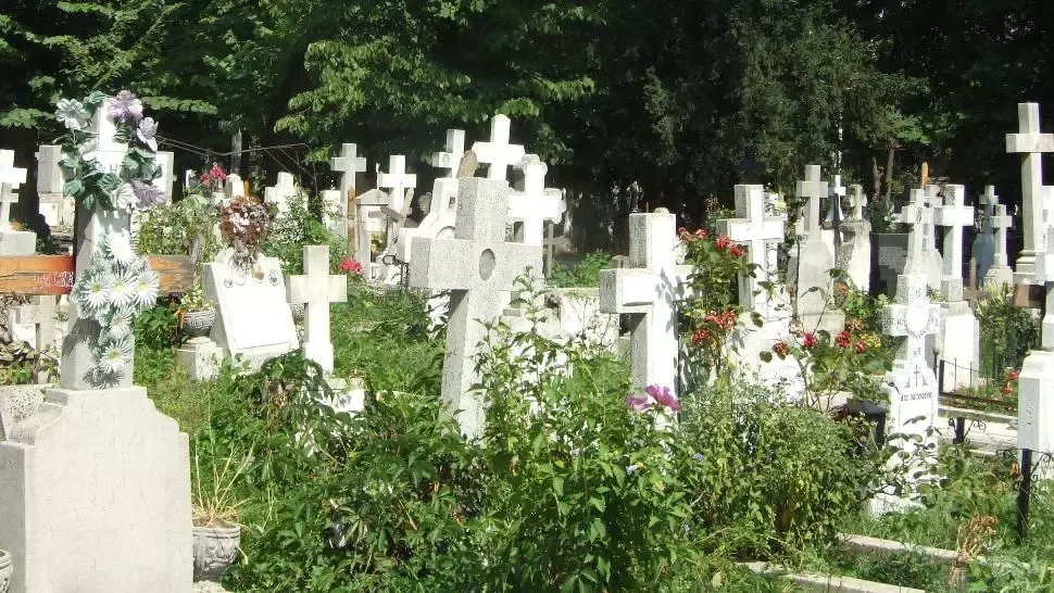 Pensionar, înșelat de escrocii care s-au dat drept muncitori! Bărbatul, țepuit de aproape 100.000 de euro