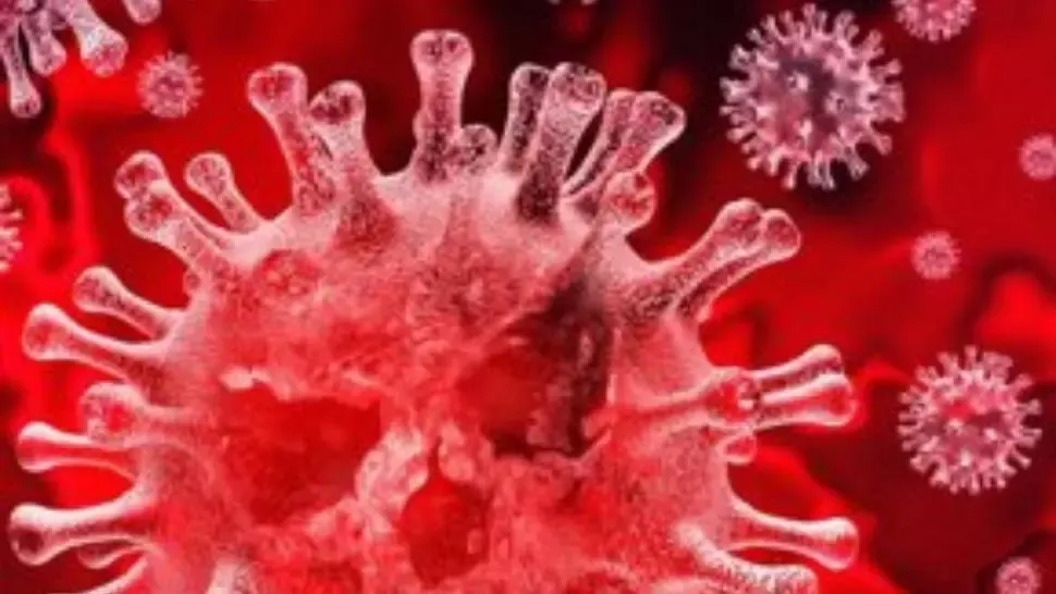 Coronavirus. „Ciuma” de Camus, adusă de COVID-19 în top cele mai citite cărți în Franța și Italia