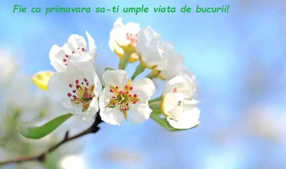 Urările politicienilor de 1 Martie