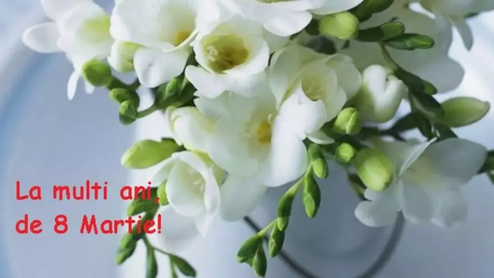 MESAJE de 8 MARTIE, Ziua femeii 2020 // Mesaje, urări, SMS-uri şi felicitări de 8 Martie 2020