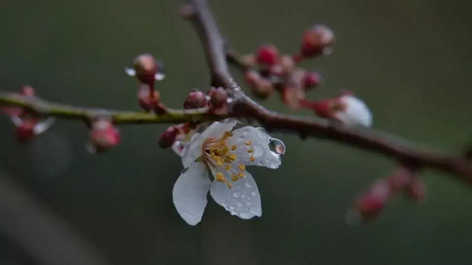 Prognoza meteo pe două săptămâni. Schimbări dramatice: cum va fi vremea până pe 29 martie