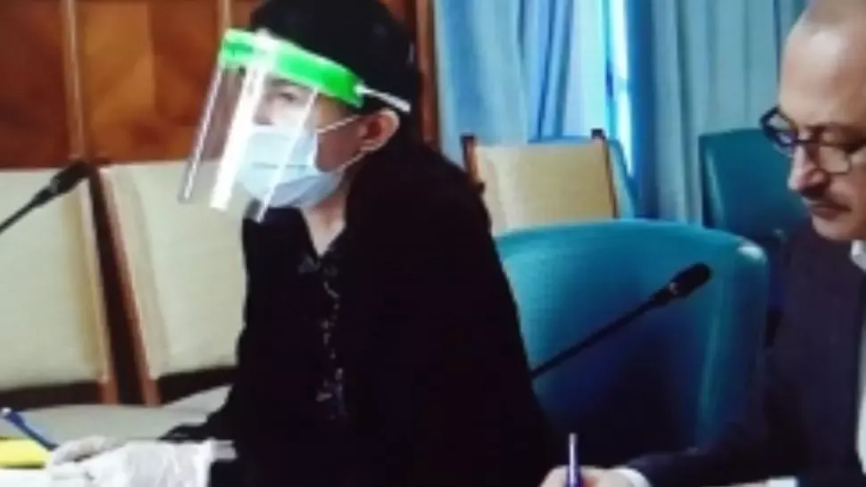 Violeta Alexandru, ținută inedită în video-ședința cu Klaus Iohannis. Cum se apără ministrul Muncii de coronavirus