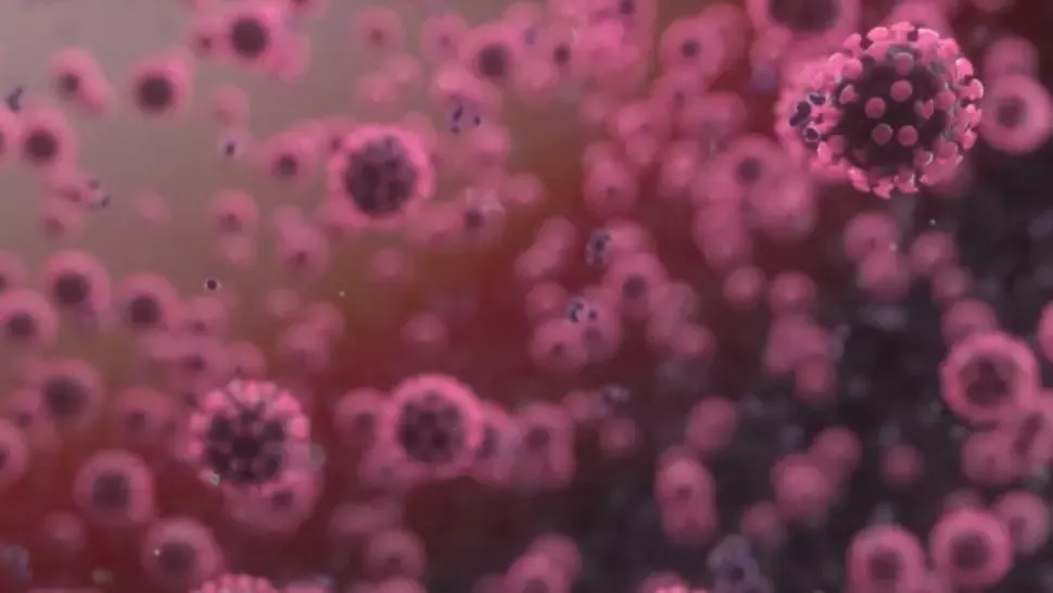 Coronavirus. ANUNȚUL cercetătorilor germani: Când nu mai este contagios un pacient cu COVID-19