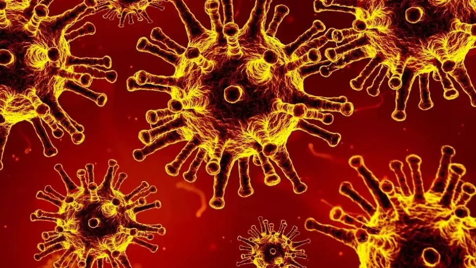 Regatul Unit al Marii Britanii: Bilanțul DECESELOR din cauza infectării cu coronavirus a depășit 10.600