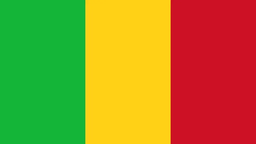 Terorism: 25 de soldați morți într-un atac din Mali