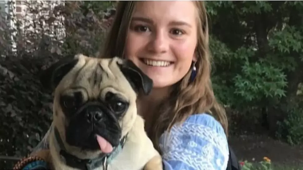 VIDEO Winston, primul câine din Statele Unite infectat cu noul coronavirus 