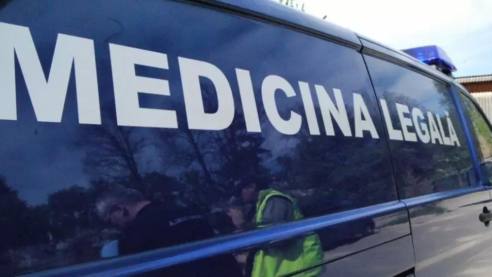 Bărbat decedat în urma tăierii ilegale de arbori, în județul Suceava