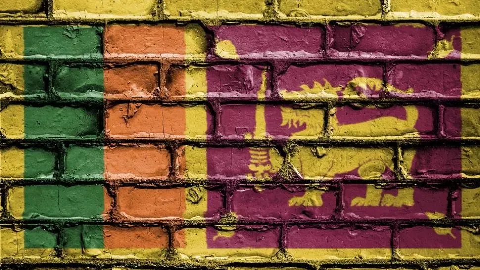 Mare parte dintre muncitorii din Sri Lanka vor lucra în Județul Cluj