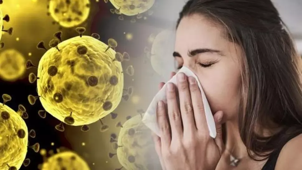 Coronavirus România, 25 mai. Bilanț actualizat: încă 213 cazuri noi. Câți români au fost externați