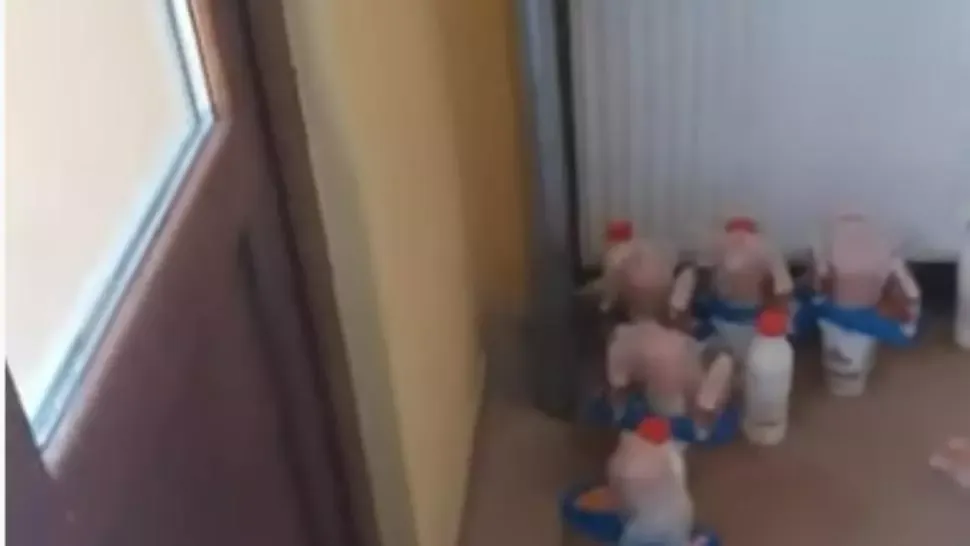 VIDEO Scandal la un centru de carantină din Galați: oamenii acuză că primesc mâncare alterată