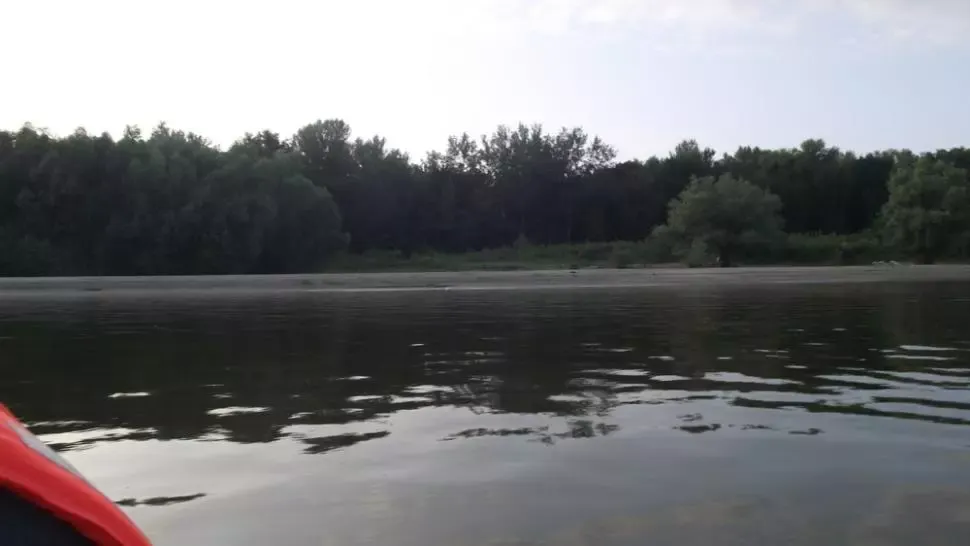 Cadavru găsit plutind pe Dunăre. Martorii spun că ar fi vorba de o femeie