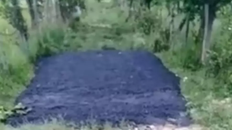 VIDEO Asfaltare în bătaie de joc în Argeș, bitum aruncat direct pe iarbă