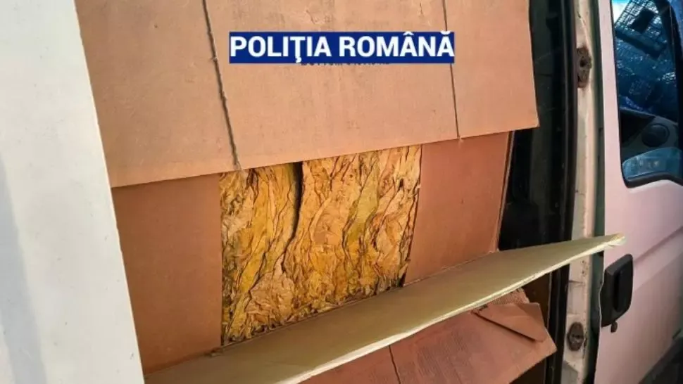 VIDEO Descoperire șoc a polițiștilor: Militari implicați în rețea uriașă de contrabandă cu tutun