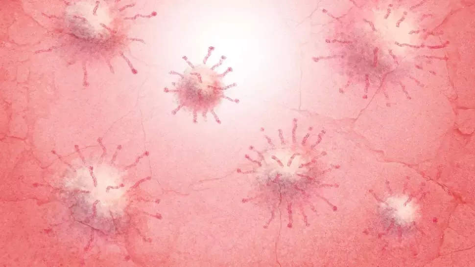 ALERTĂ în China! Noi infectări cu noul CORONAVIRUS la Beijing după două luni