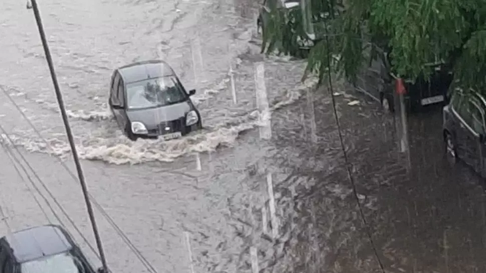 VIDEO O ploaie torențială a făcut prăpăd în Lugoj: străzi, case și garaje inundate