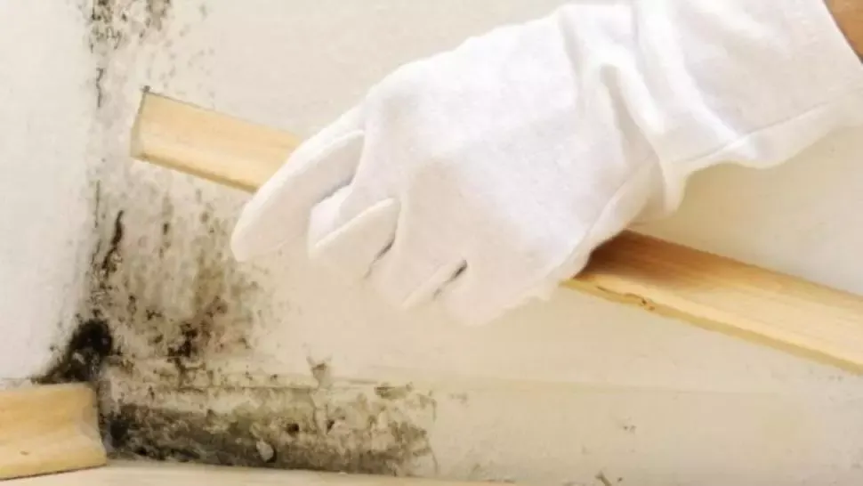 Cum scapi de petele de mucegai de pe perete în mod natural și pentru totdeauna 