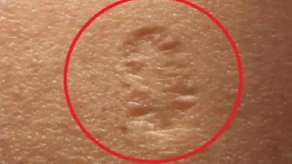 Toți avem acest semn pe mână, însă știi ce înseamnă cu adevărat?