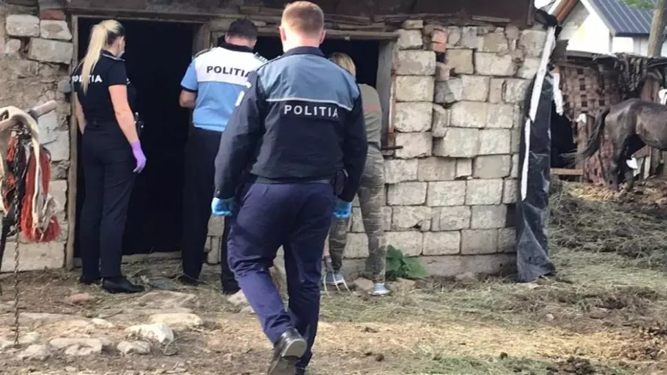 Doi suceveni, pedepsiți penal pentru cruzime după ce și-au bătut crunt caii