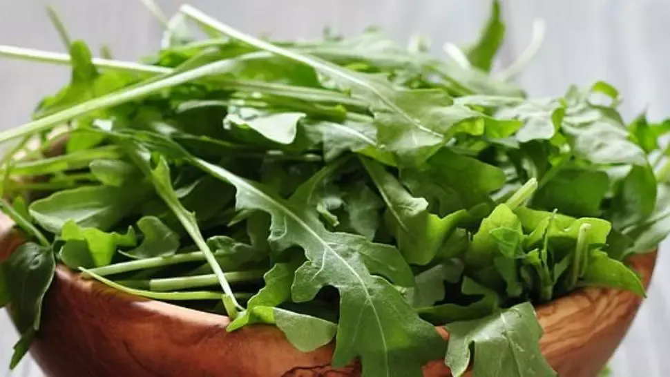 Adevărul despre rucola! Ce au descoperit oamenii de știință? Schimbă tot ce știai până acum