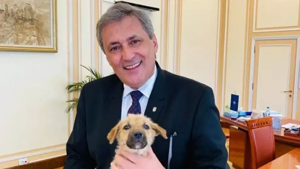 Marcel Vela, anunț despre înființarea Poliției Animalelor la Ministerul de Interne