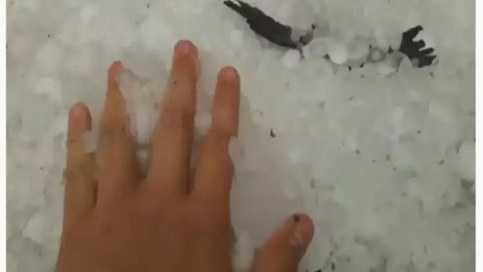 Prăpăd într-o comună din județul Iași: grindina a făcut ravagii prin curțile oamenilor!