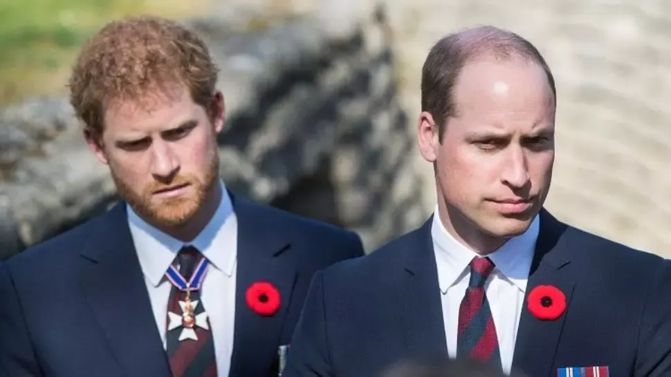 O nouă criză în familia regală britanică. Prinții William și Harry și-au împărțit banii. Ce urmează