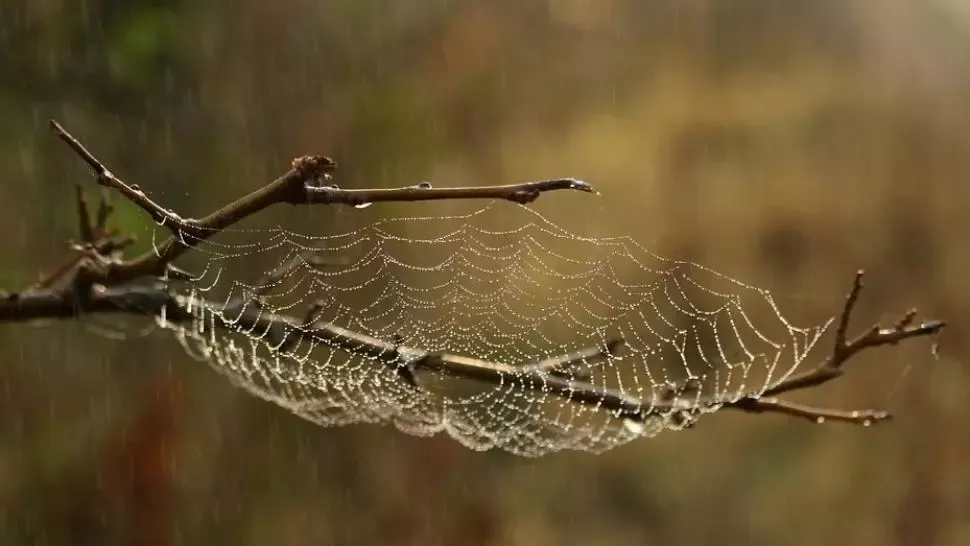 România, lovită de fenomene meteo EXTREME: cod GALBEN de furtuni și grindină. HARTA potopului 