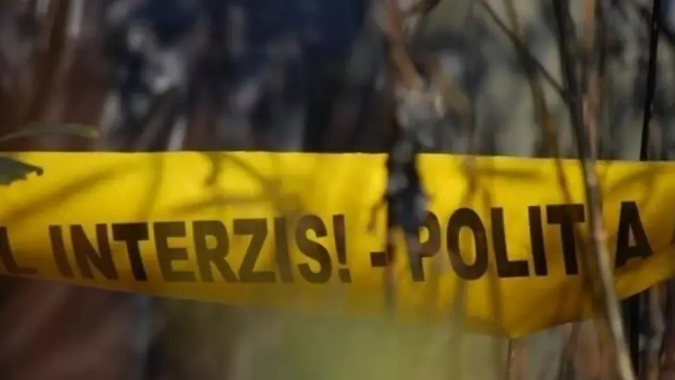 Câini ucişi, găsiţi pe marginea unui drum din Gorj. Polițiștii au deschis dosar penal 