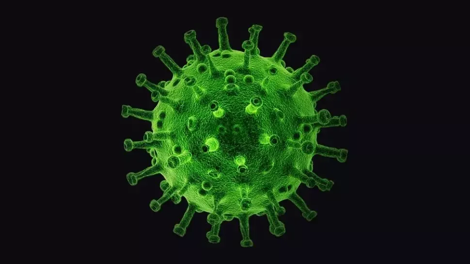 Focar de coronavirus la un abator de pui din județul Vaslui! Peste jumătate dintre cei testați sunt infectați 