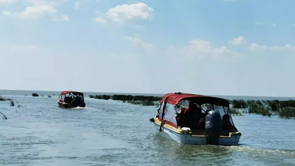 Zonă strict protejată din Delta Dunării, luată cu asalt de către turiști