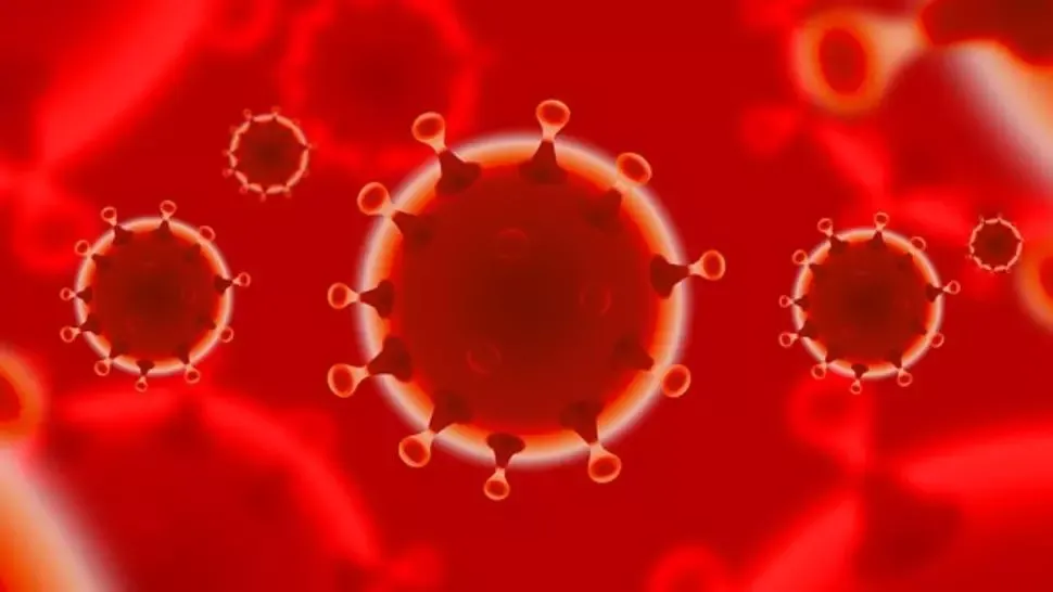 Avertisment OMS în fața „oboselii” din Europa din cauza coronavirusului: pandemia s-ar putea agrava în lunile de iarnă