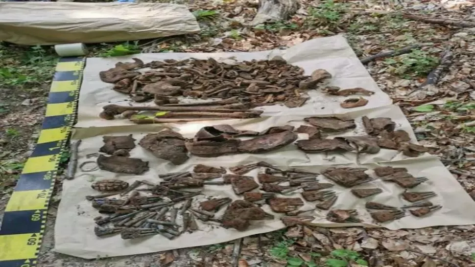 Descoperire șocantă la Soveja. Muniție și oseminte umane, vechi de 100 de ani