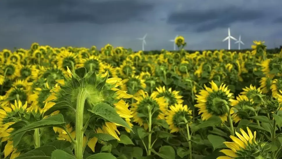 Vreme extremă: ploi și vijelii. Cod portocaliu de fenomene SEVERE - Prognoza meteo 19 august