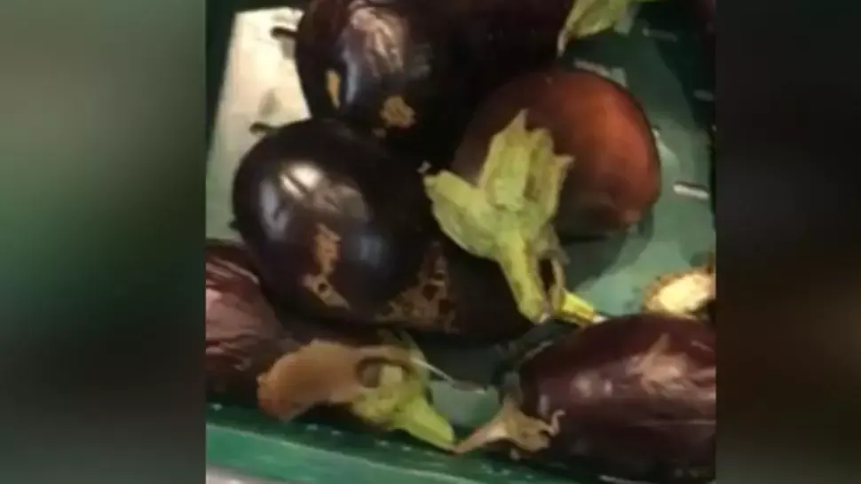 Șoricel surprins într-un supermarket plimbându-se peste legumele scoase la vânzare