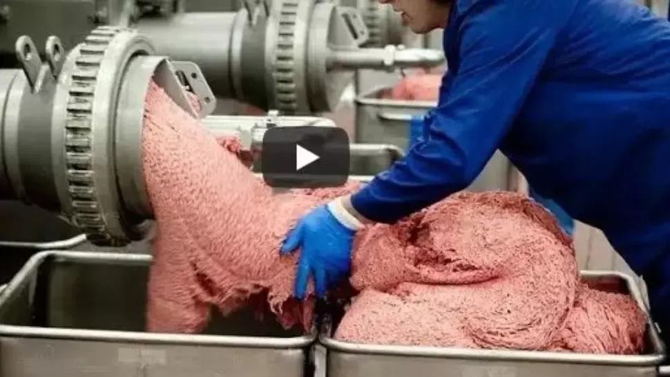 VIDEO Cum sunt făcuți burgerii de la fast food – Imaginile care te-ar putea face să nu mai mănânci